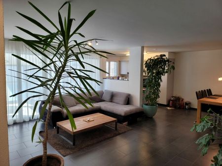 moderne 4.5 Zi.-Parterre-Wohnung im Dorfzentrum - Photo 3