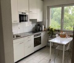 APPARTEMENT 3 PIÈCES À ZURICH - DISTRICT 3, MEUBLÉ, TEMPORAIRE - Foto 4