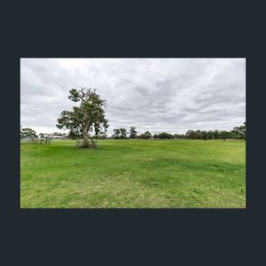 Peaceful Living with Paddock Views - Photo 3