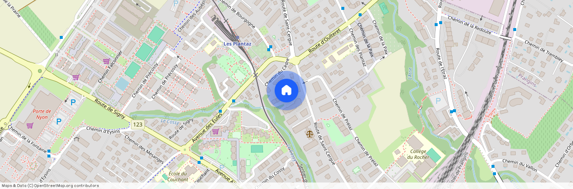 1260, Nyon, Route De Saint-Cergue, 52