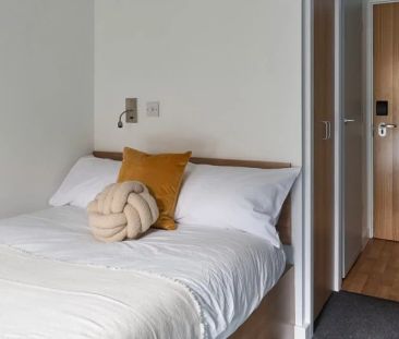 Accessible Gold Ensuite - Photo 4