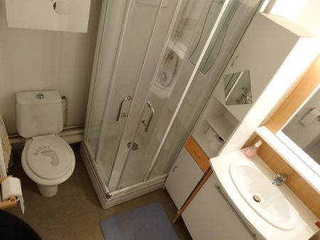 Location Appartement 1 pièce Meublé 25m² DIJON 21000 - Photo 5