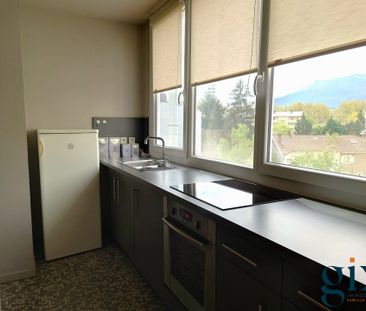 Location Appartement 3 pièces 46m² GRENOBLE 38000 - Photo 4