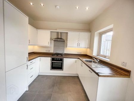 16 Alder Way, Lisburn, BT28 2SX - Photo 3