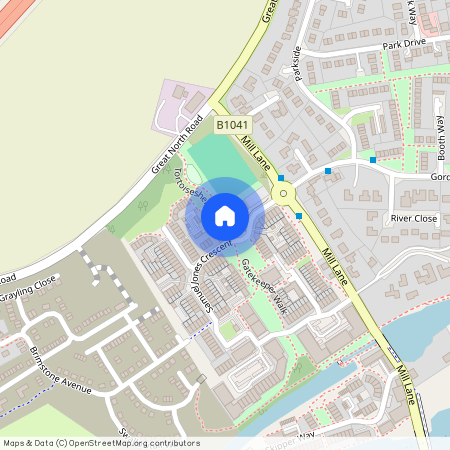 Tortoiseshell Walk, Little Paxton, St. Neots, PE19