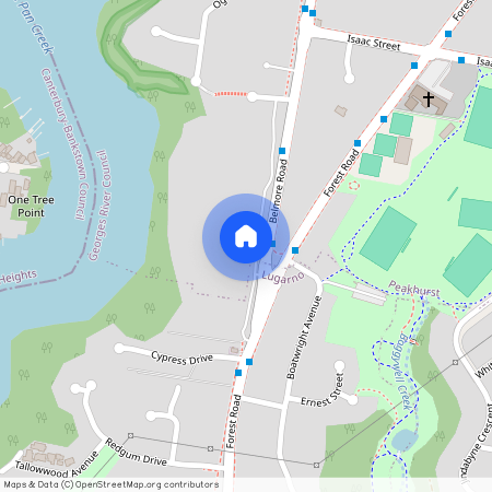 19 Belmore Road, New South Wales, NSW 2210, Peakhurst