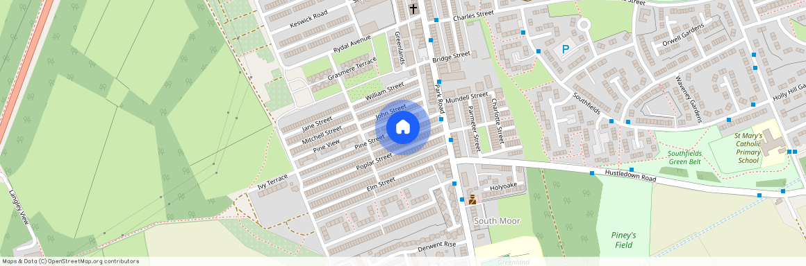 Pine Street, South Moor, Stanley, DH9