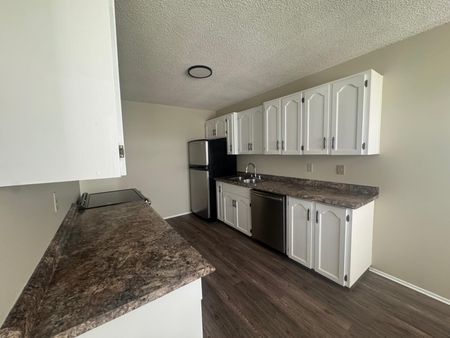Newley Renovated Duplex Close to Bower Mall!! - Photo 2