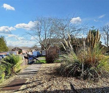 Badger, SO22 - Photo 4