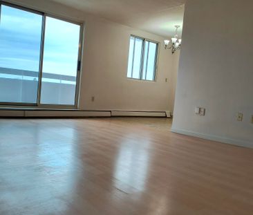 44 Oxford Apartments - Photo 3