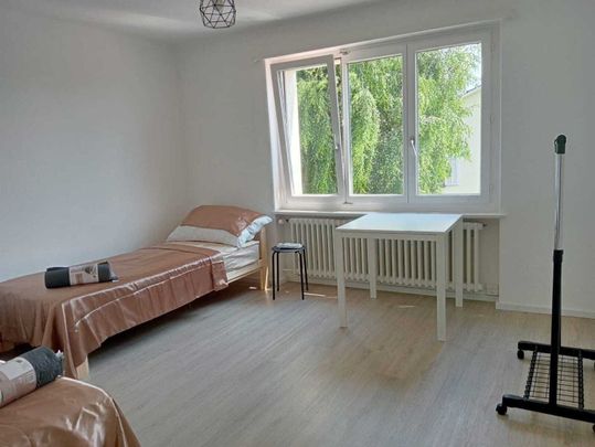 APPARTEMENT DE 5 PIÈCES À EGG B. ZURICH (ZH), MEUBLÉ - Photo 1