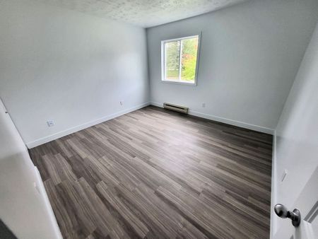Appartement 4 ½ rénové à louer – Sherbrooke, Secteur Université & Mont-Bellevue - Photo 5
