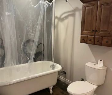 62 Cook Street #LOWER LEVEL - Photo 3