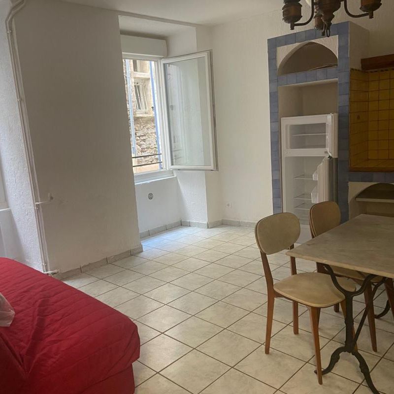 Location Appartement 1 pièce Meublé 24m² ST AMBROIX 30500 - Photo 1