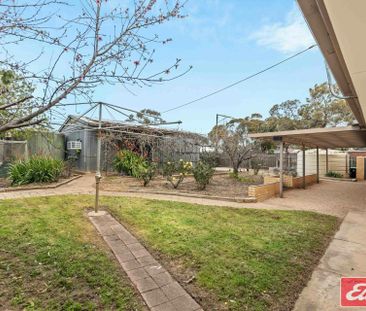 4 BEDROOM HOME ON HUGE BLOCK! - Photo 5