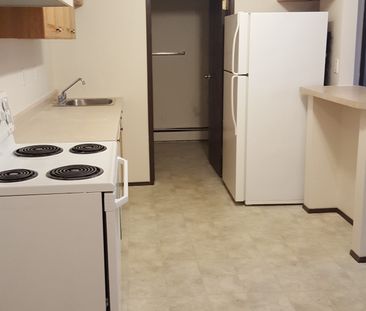 Mac Jo – 1 Bedroom Apartment- All Utilities Included - Photo 1