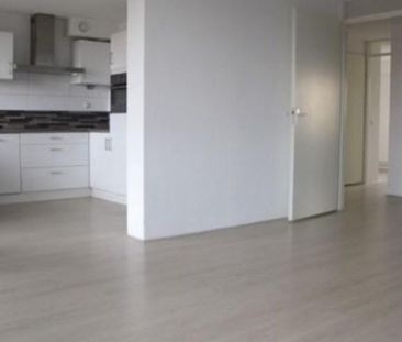 Akropolishof 0ong, 2624 ET Delft, Nederland - Photo 2