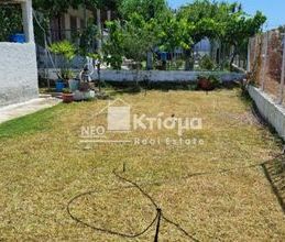 Μονοκατοικία για ενοικίαση - Πύργος, - Photo 6