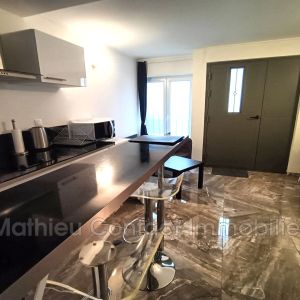 Centre-ville, Location appartement 1 pièce 23 m² - Photo 2