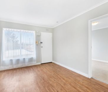 Hidden Gem - Photo 1