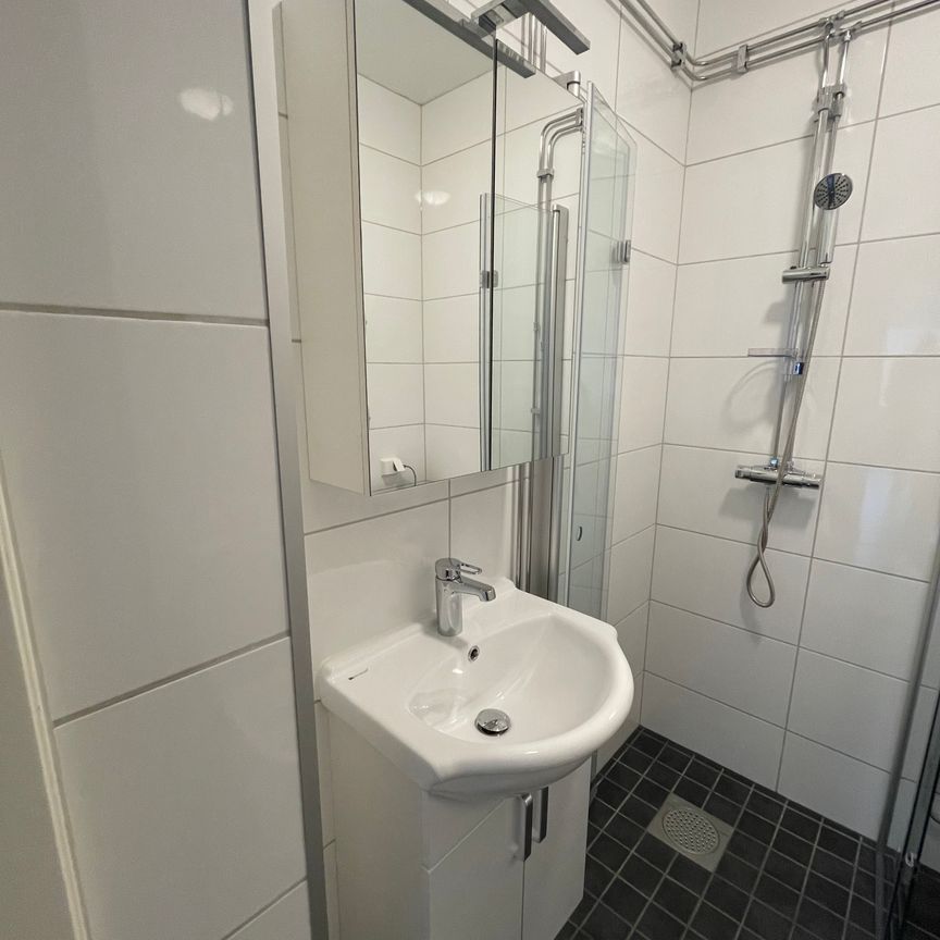 Södra Stenbocksgatan, Helsingborg - Photo 1