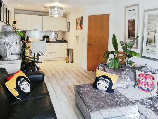 1 bedroom apartment to rent - Photo 1