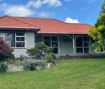 Spacious Family Home - Photo 3