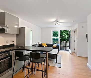 Renovated 3 Bedroom, 2 Bathroom Property Close to Uni! - Photo 1