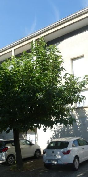 Appartement, 3 pièces – LIVRON SUR DROME - Photo 1