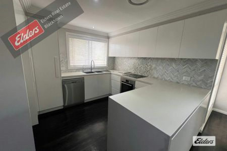 Newly renovated 4-bedroom property in the heart of the hills. - Photo 3