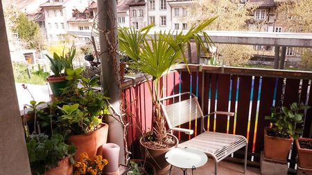 3½ Zimmer-Wohnung in Bern - Matte, möbliert, auf Zeit - Foto 3