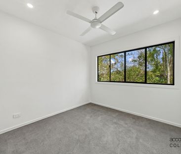 Peaceful Living, Opposite Enoggera Reservoir - Photo 6