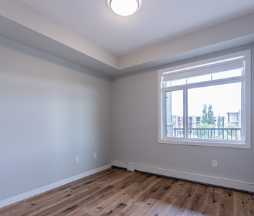 The Heartwood - Photo 4