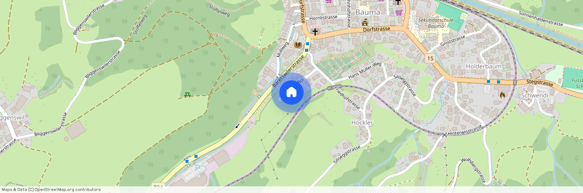 8494, Bauma, Im Böl, 7