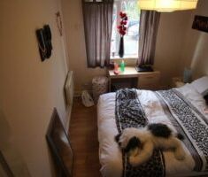 71 Flat 3 Cardigan Road, Leeds, LS6 1EB - Photo 2