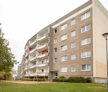 Neu modernisiert in schöner Randlage! - Foto 1