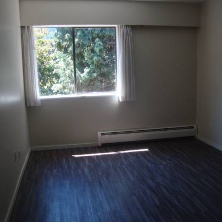 1 BDR-Welcome to Pine Manor clean & professionally managed - Photo 1