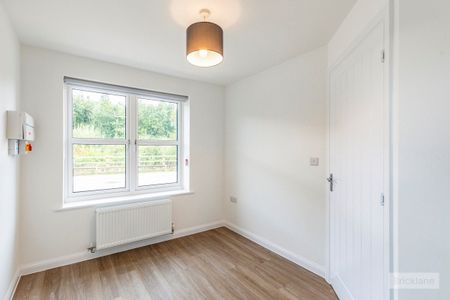 Pumpkin close - Photo 3