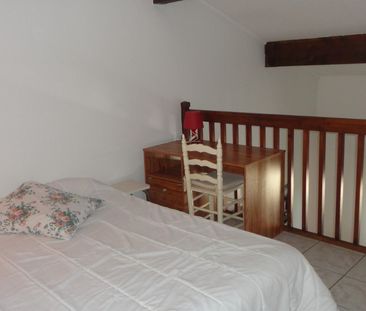 Location Appartement 1 pièce Meublé 29m² PERPIGNAN 66000 - Photo 3