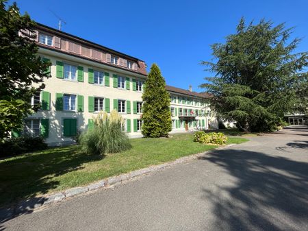 Geräumige 7.5-Zimmer-Wohnung im Dachgeschoss - Photo 4