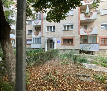 Apartament 2 camere decomandat zona Podgoria-Malul Muresului - Fotografie 6