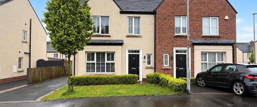 65 Foxfield Park, Coolshinney Road, Magherafelt, BT45 5FQ - Photo 1