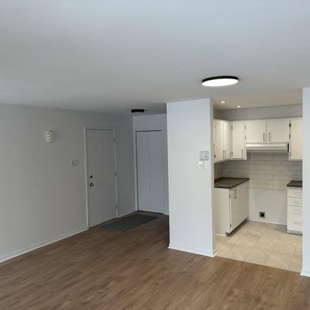 41/2 à louer Montréal quartier Nouveau Rosemont - Photo 4