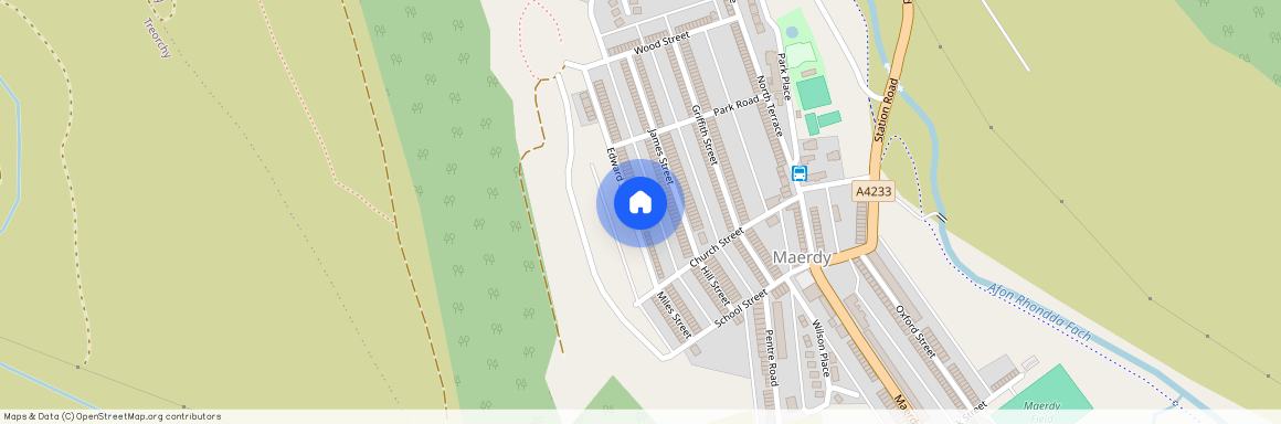 Edward Street, Maerdy, Ferndale, CF43