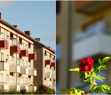 Älgstigen, Uddevalla - Photo 1