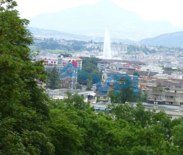 5 rooms furnished Résidence Matutina Parc Petit-Saconnex - Foto 4