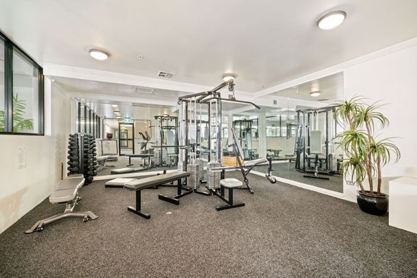 Oversized Apartment with Huge Terrace and Parking in the Heart of Bondi Junction - Photo 1