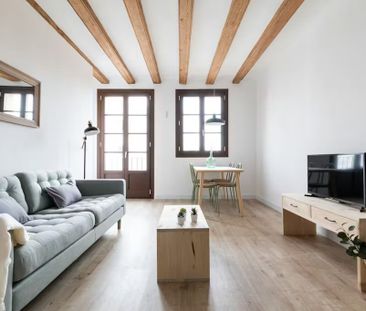 Carrer de Joaquín Costa, Barcelona, Catalonia 08001 - Photo 4