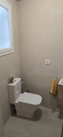 Plaza de la Alfalfa, Sevilla, Andalusia 41004 - Photo 4