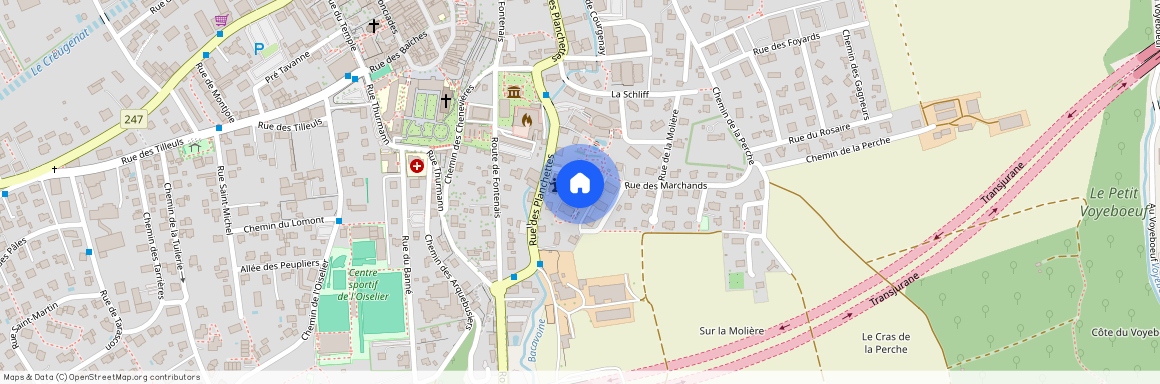 2900, Pruntrut, Rue Des Planchettes, 51a